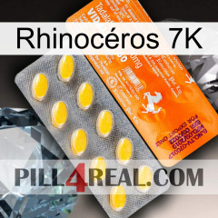 Rhinocéros 7K new05
